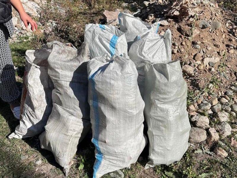 Акыйкатчы институтунун кызматкерлери жалпы республикалык ишембиликке катышты