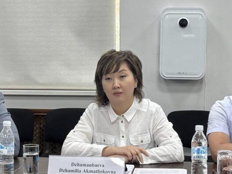 Акыйкатчы БУУнун кыйноолордун алдын алуу комитетинин төрагасынын орун басары менен жолугушту