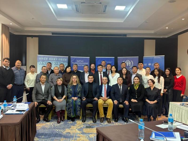 Сотрудники Института Акыйкатчы с международными экспертами обсудили стандарты и принципы работы Национального превентивного механизма