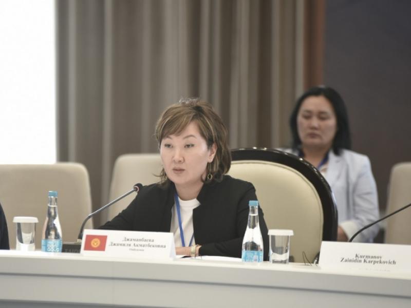 Институт Акыйкатчы усилит работу с ЦИК по улучшению системы проведения выборов