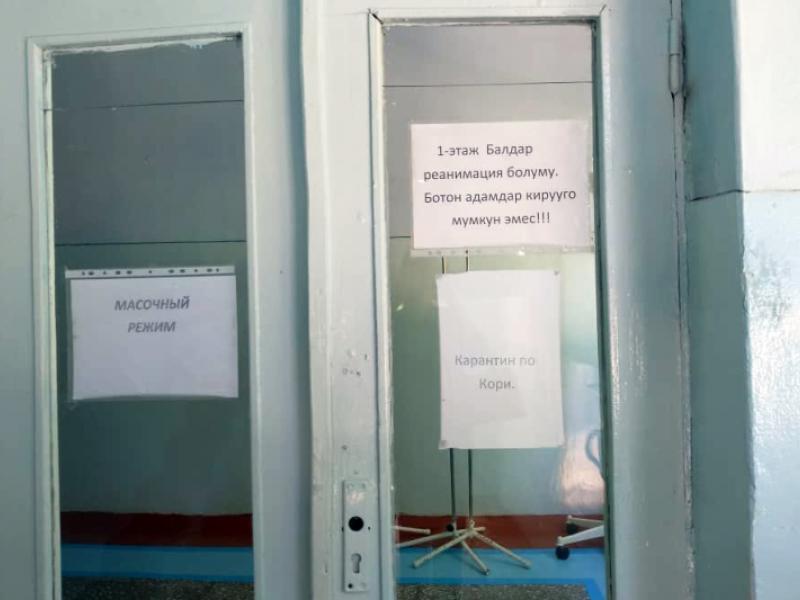 Акыйкатчы Токон Мамытов өзүнүн Жалал-Абад облусу боюнча ыйгарым укуктуу өкүлүнө 2 жаштагы кыз боюнча ишти өзгөчө көзөмөлгө алууну тапшырды