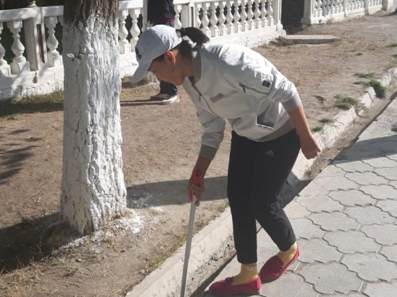 Акыйкатчы институтунун кызматкерлери Кой-Ташта жол жээгиндеги 4 чакырым участокту таштандыдан арылтышты