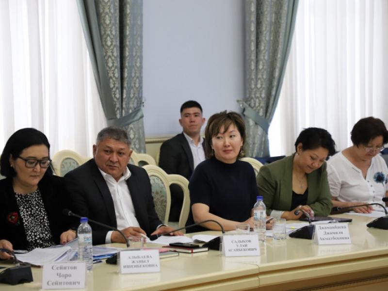 Акыйкатчы подняла вопрос прав осужденных лиц с инвалидностью