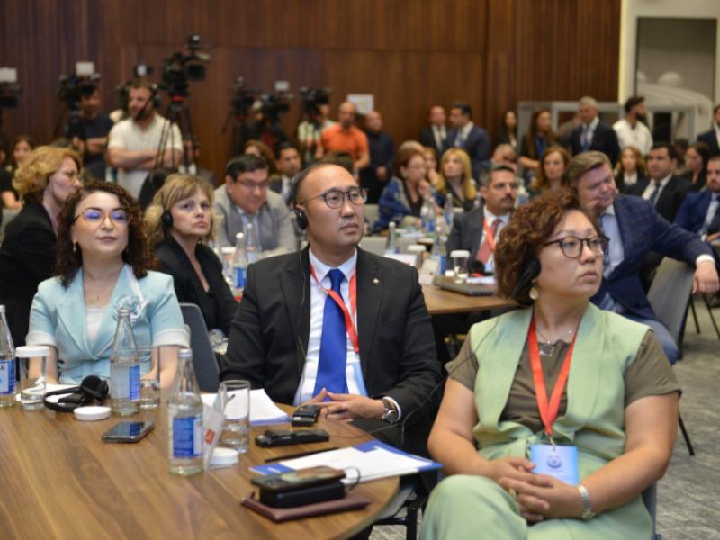 Акыйкатчынын орун басары Бакудагы симпозиумда адам укугун коргоодо эл аралык кызматташтыктын маанилүүлүгүн белгиледи