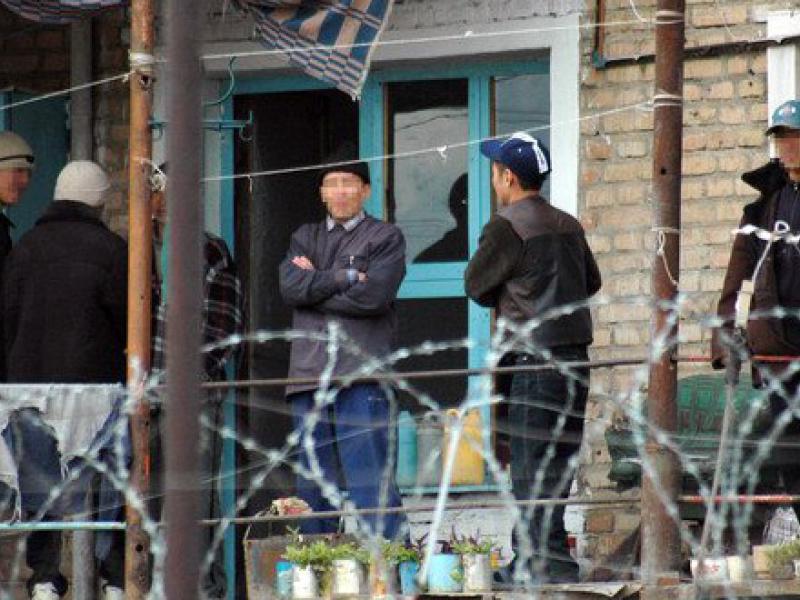 Эркектер үчүн түзөтүү колонияларында саламаттыкты сактоо укуктарынын абалы тууралуу иликтөө