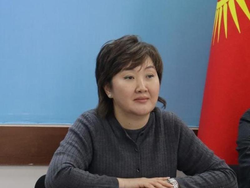 Акыйкатчы провела онлайн-встречу с Подкомитетом ООН по предупреждению пыток