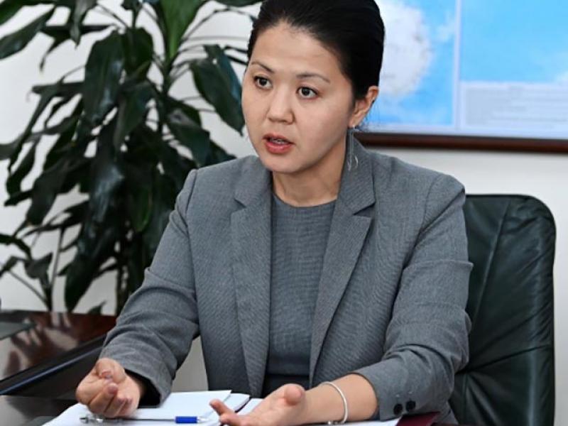 Кыргыз Республикасы менен Россия Федерациясынын Омбудсмендери онлайн жолугушту