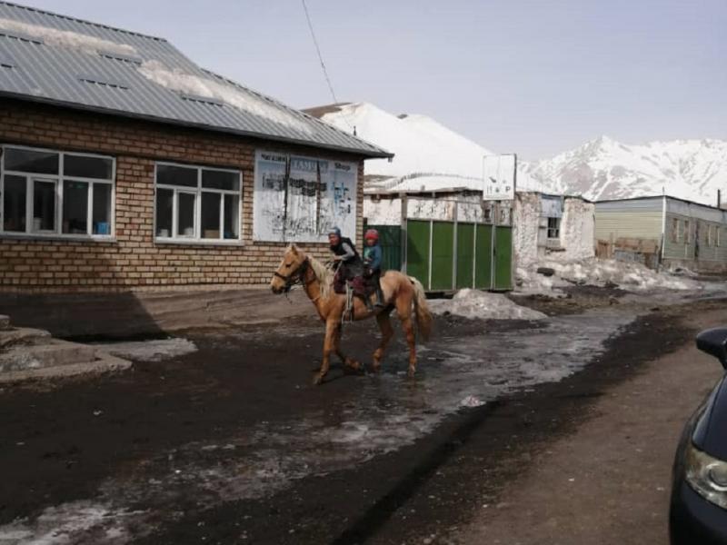 Акыйкатчы мамлекеттик органдарды афган кыргыздарынын маселелерине көңүл бурууга чакырат: жумушсуздук, сабатсыздык, адаптациялануунун аздыгы