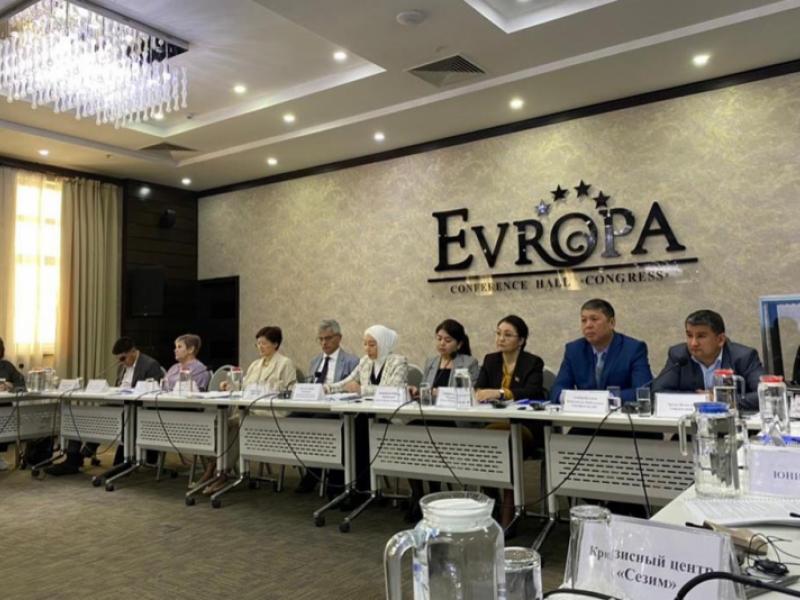 Бишкекте үй-бүлөлүк зомбулуктан коргоонун улуттук деңгээлдеги укуктук каражаттарын изилдөөнүн жыйынтыктарын талкуулашты