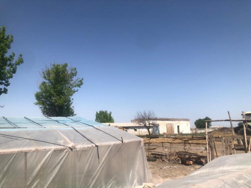 Үч балалуу жалгыз бой эне сарайда жашоого мажбур болуп жатат