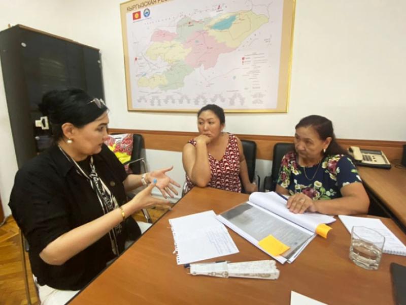 Н. Озконбаеванын дарыгердик катасынын жабыркаганы боюнча 30-июнга карата маалымат