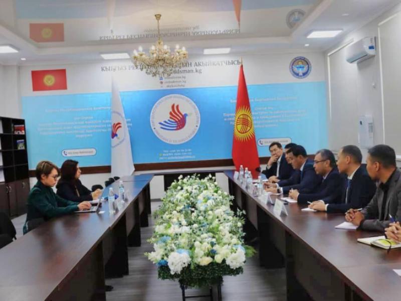 КРнын Акыйкатчы Институту алдыда боло турган шайлоонун жүрүшүнө жана жарандардын саясий укуктарынын сакталышына мониторинг жүргүзөт