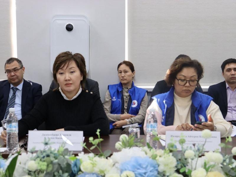 Жамиля Жаманбаева жарандык коомдун өкүлдөрү менен жолугушту