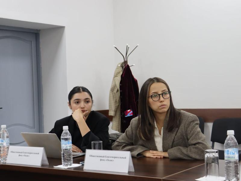 Жамиля Жаманбаева жарандык коомдун өкүлдөрү менен жолугушту