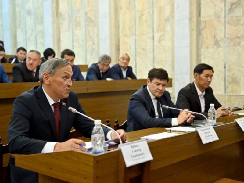 Атыр Абдрахматова: Системдүү кемчиликтерден улам кылмышкердин күнөөсүн далилдөө дээрлик жокко чыгып жатат    