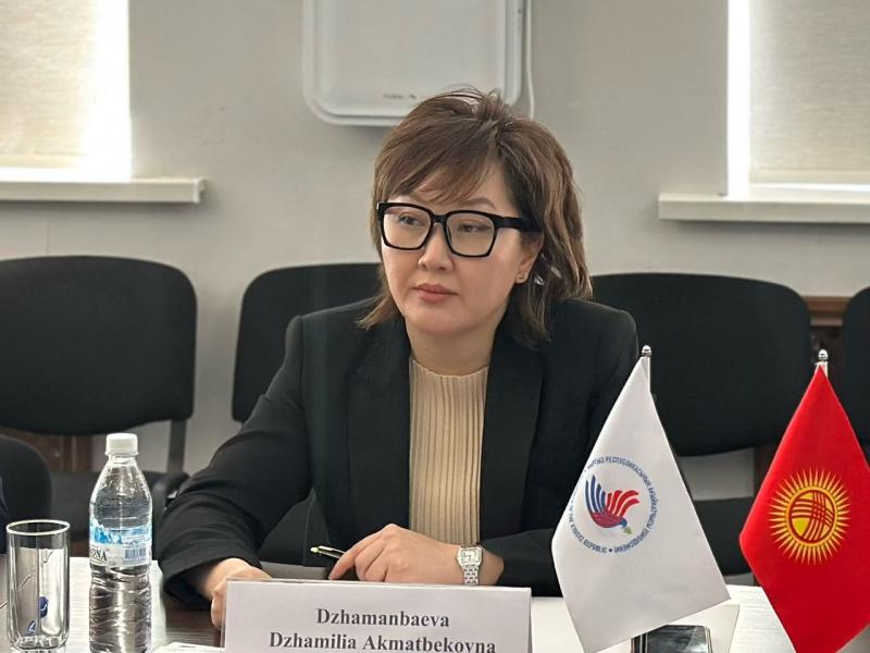 Акыйкатчы призвала обратить внимание на случаи неуставных отношений и давления среди военнослужащих