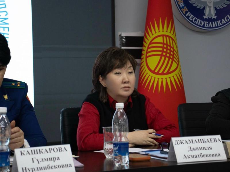 Жители Нарына попросили Акыйкатчы содействовать в получении статуса приграничной зоны Ат-Башинскому району