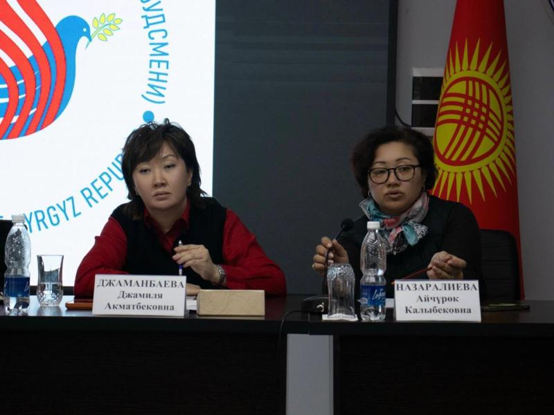 Нарындын тургундары Акыйкатчыдан Ат-Башы районуна чек ара аймагы статусун алууга көмөктөшүүнү суранышты