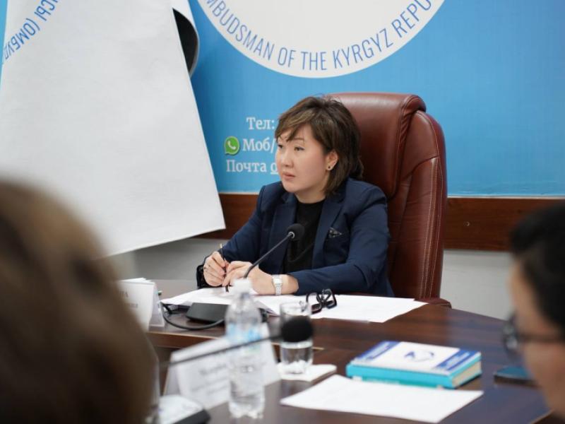 При Институте Акыйкатчы создан общественный совет