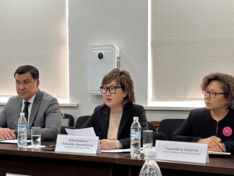 Акыйкатчы и представитель ПА ОБСЕ в ЦА обсудили состояние прав человека в КР