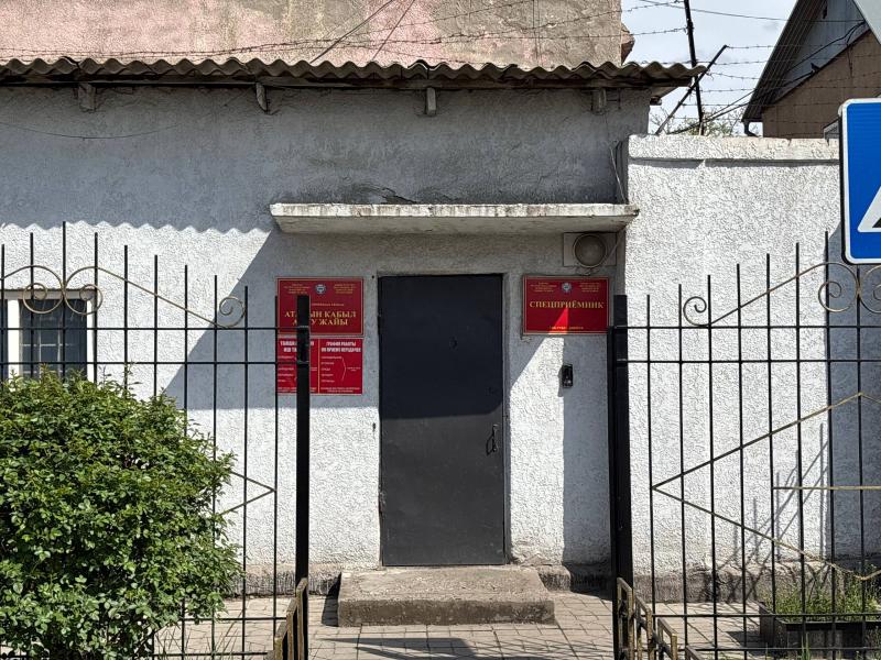 Джаманбаева:  Применение принудительных мер не должно сопровождаться унижением человеческого достоинства или жестоким обращением