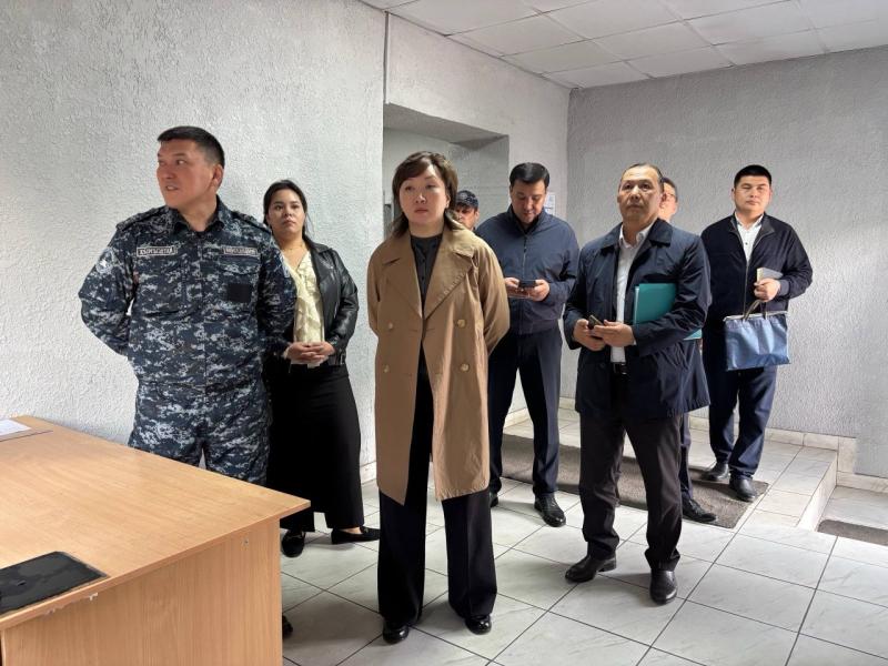 Джаманбаева:  Применение принудительных мер не должно сопровождаться унижением человеческого достоинства или жестоким обращением