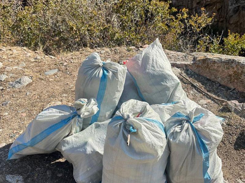 Сотрудники Института Омбудсмена провели субботник в Кой-Таше