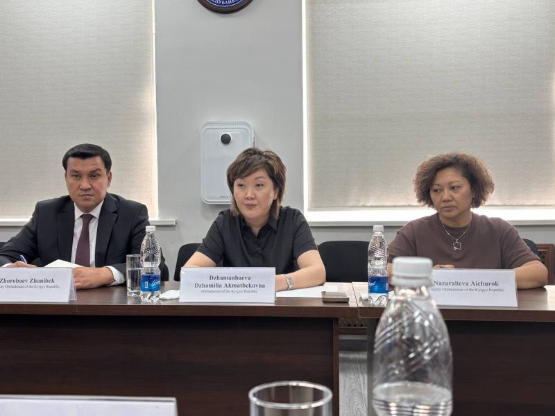 Акыйкатчы  эл аралык уюмдардын өкүлдөрү менен Кыргызстандагы кыйноолордун алдын алуу системасын бекемдөө чараларын талкуулады