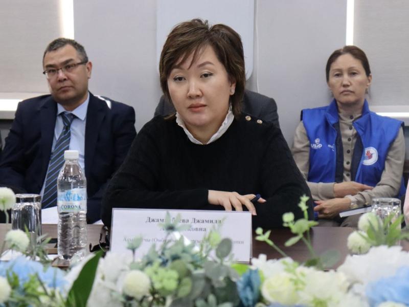Жамиля Жаманбаева жарандык коомдун өкүлдөрү менен жолугушту