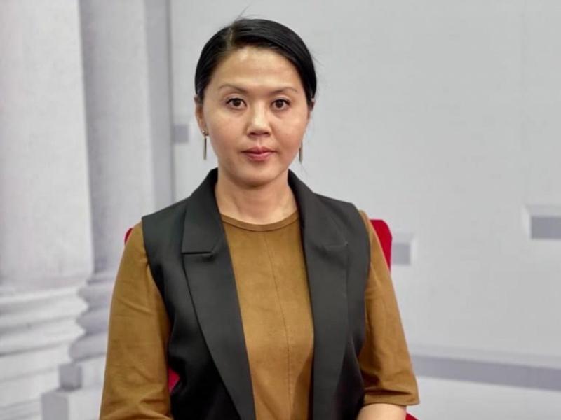 Акыйкатчы институтунун жана Атыр Абдрахматованын жеке өзүнүн 2022-жылдагы ишинин жыйынтыгы сандар менен