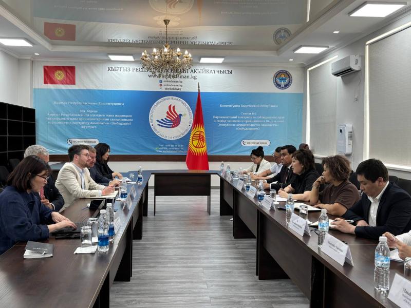 Акыйкатчы  эл аралык уюмдардын өкүлдөрү менен Кыргызстандагы кыйноолордун алдын алуу системасын бекемдөө чараларын талкуулады
