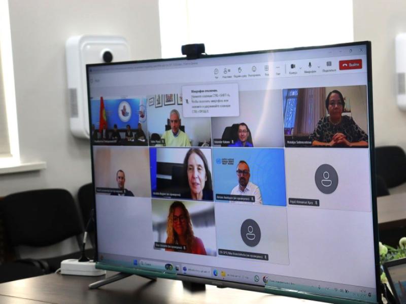 Акыйкатчы провела онлайн-встречу с Подкомитетом ООН по предупреждению пыток