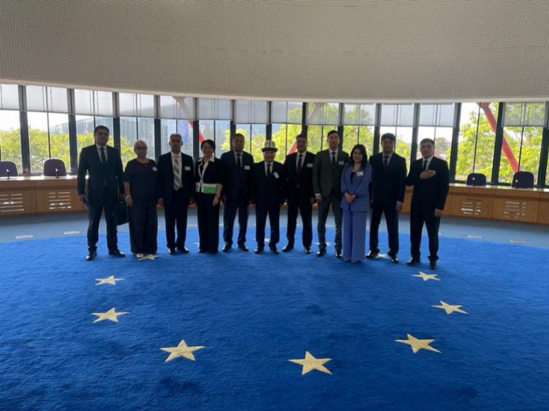 Заместитель Акыйкатчы Альберт Колопов принял участие в семинаре по конвенциям Совета Европы