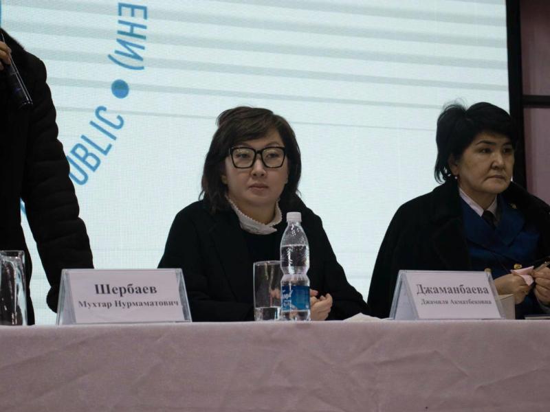 Нарындын тургундары Акыйкатчыдан Ат-Башы районуна чек ара аймагы статусун алууга көмөктөшүүнү суранышты