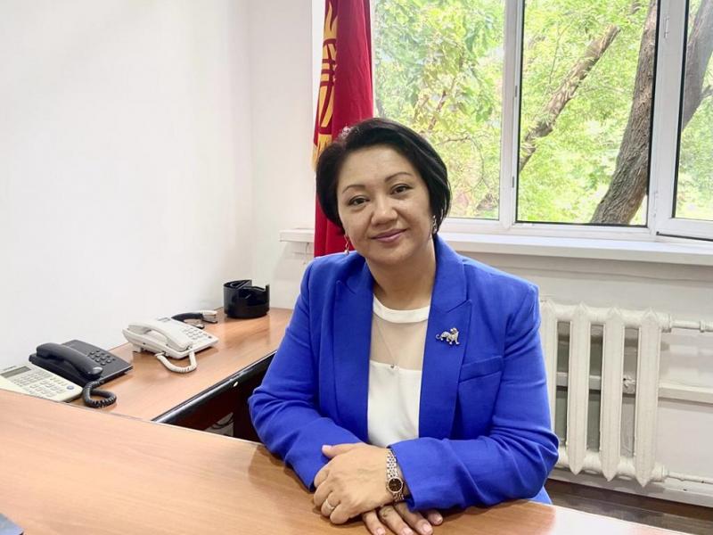   Жогорку Кенеш избрал Айчурок Назаралиеву заместителем Акыйкатчы