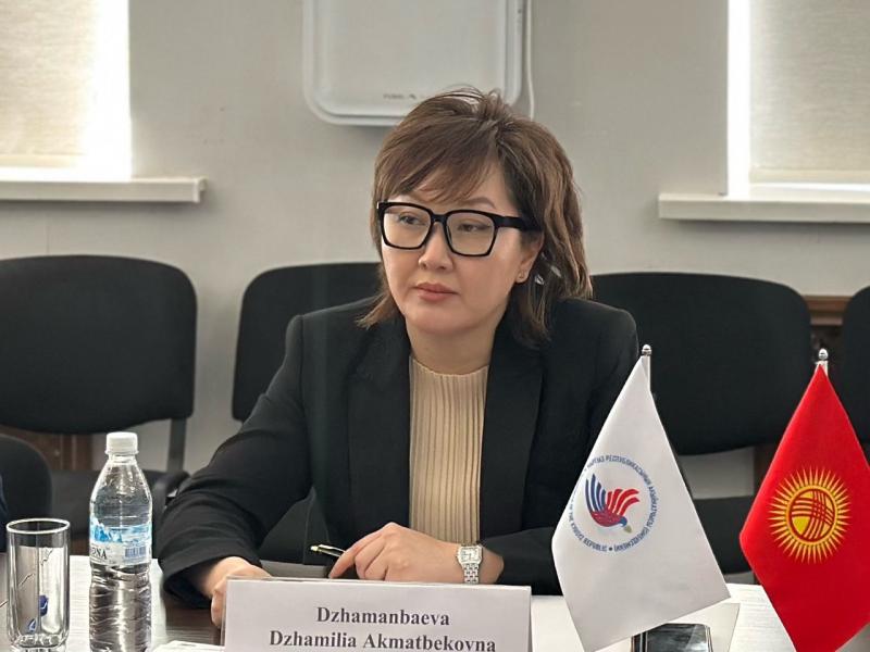 Акыйкатчынын кайрылуусунан кийин 631 соттолгондор паспорт алышты