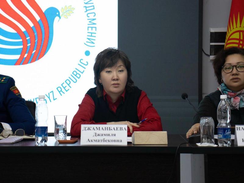 Нарындын тургундары Акыйкатчыдан Ат-Башы районуна чек ара аймагы статусун алууга көмөктөшүүнү суранышты