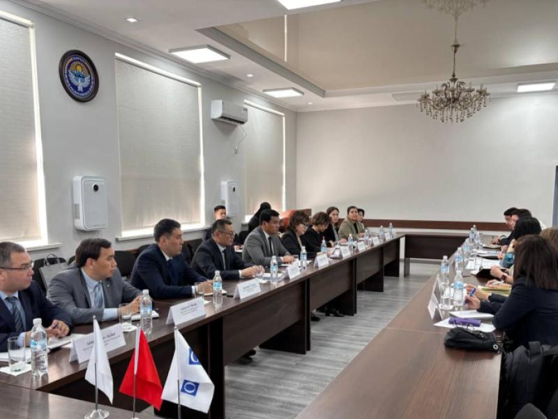  Акыйкатчы жана ЕККУнун ПА өкүлү Кыргызстандагы адам укуктарынын абалын талкуулашты