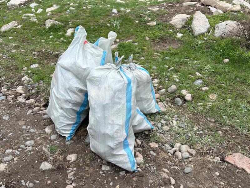 Сотрудники Института Омбудсмена провели субботник в Кой-Таше