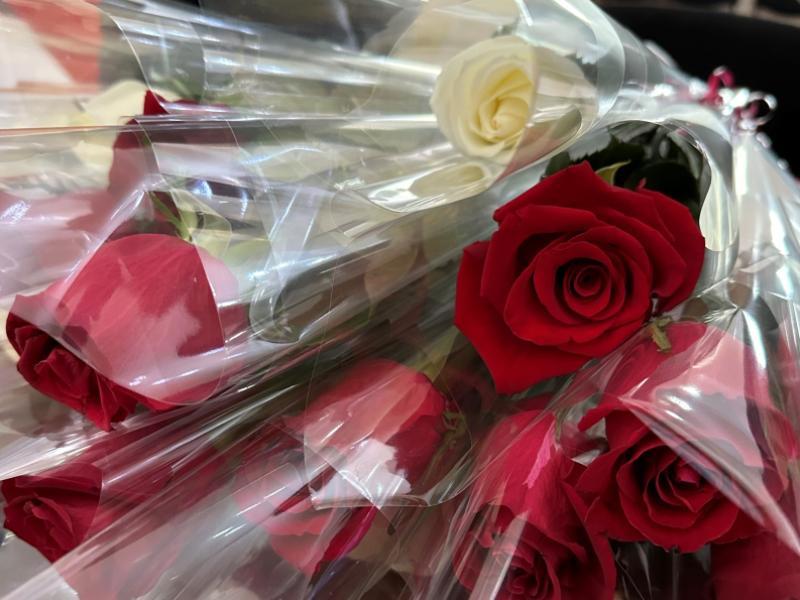 Акыйкатчы Джамиля Джаманбаева журналисттерди Маалымат жана басма сөз күнү менен куттуктайт 