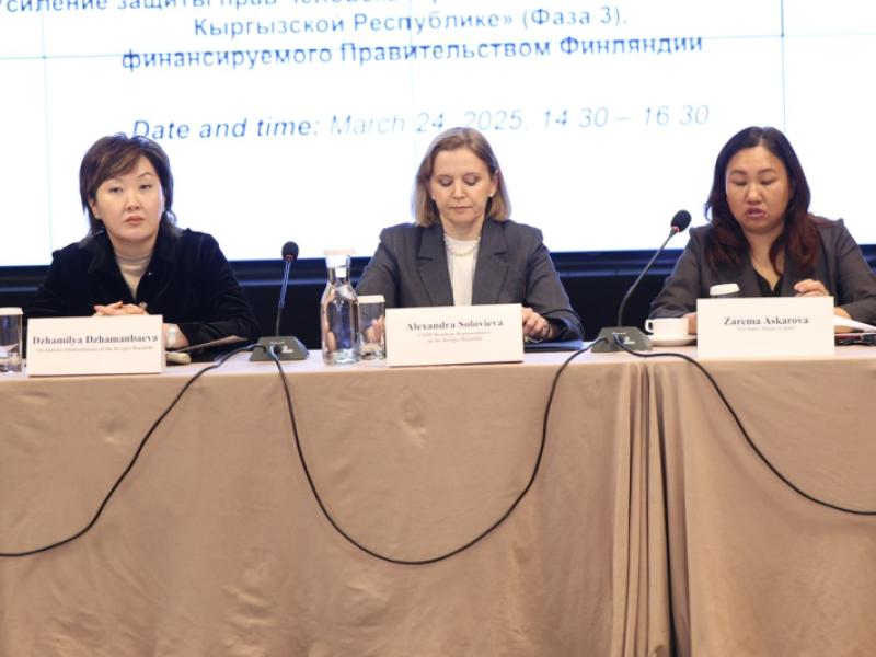 Акыйкатчы ПРООНдун долбоорунун координациялык кеңешинин жыйынына катышты