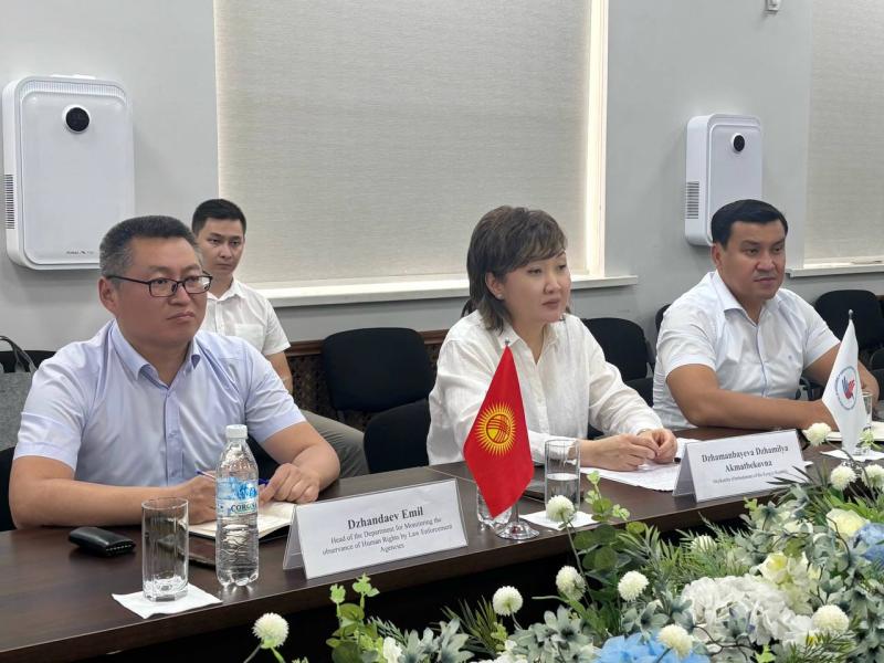 Акыйкатчы Ирандын Кыргызстандагы элчиси менен жолугушту