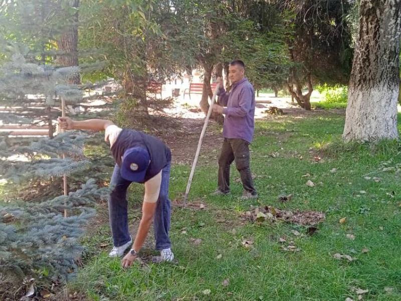 Сотрудники Института Омбудсмена очистили от мусора 4 км вдоль трассы