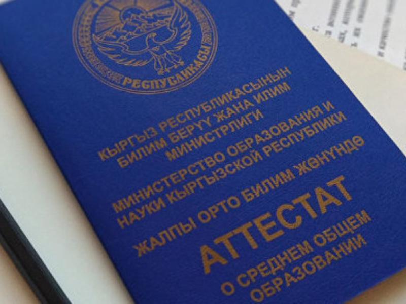 Акыйкатчынын кийлигишүүсүүнөн кийин 17 жашар кыздын колледжден ала албай жаткан документтери колуна тийди