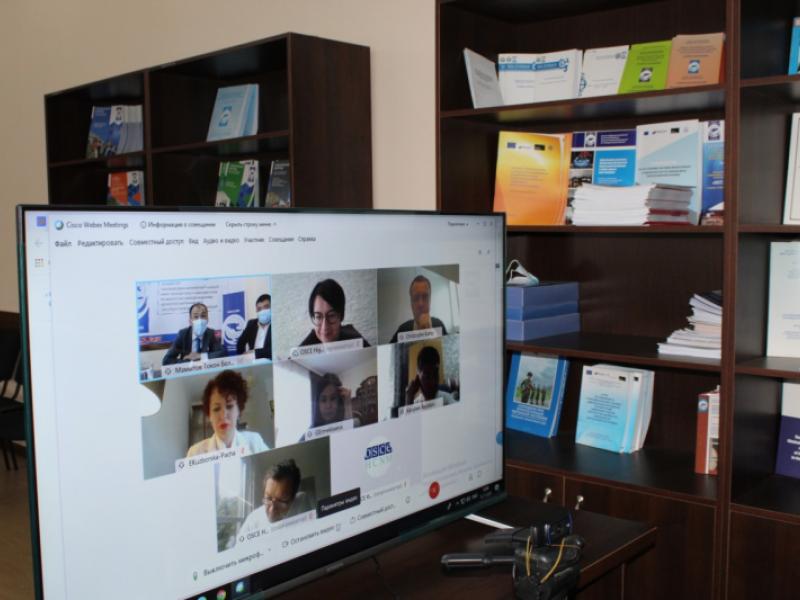 Кыргыз Республикасынын Акыйкатчы Институтунда республиканын улуттук азчылыктарынын өкүлдөрүнүн укуктарын коргоо маселелери талкууланды