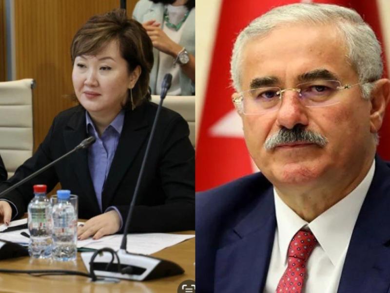 Жаманбаева Түркиянын акыйкыйкатчысына Стамбулда кармалган мугалим боюнча кайрылуу жолдоду 