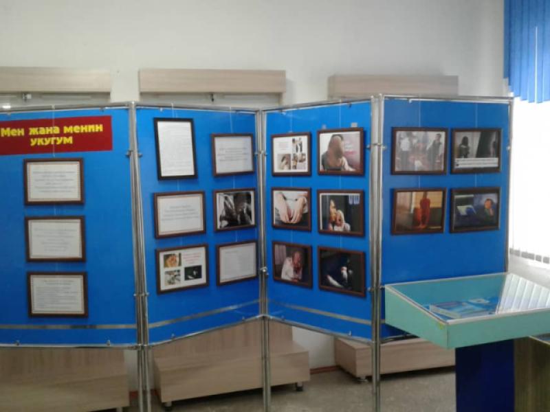 Нарын облустук музейдеги көргөзмө адам укуктарына арналды