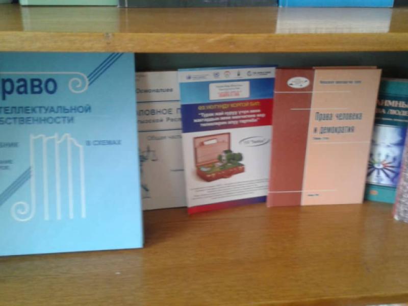 Нарын облустук китепканадагы адам укуктары боюнча көргөзмө