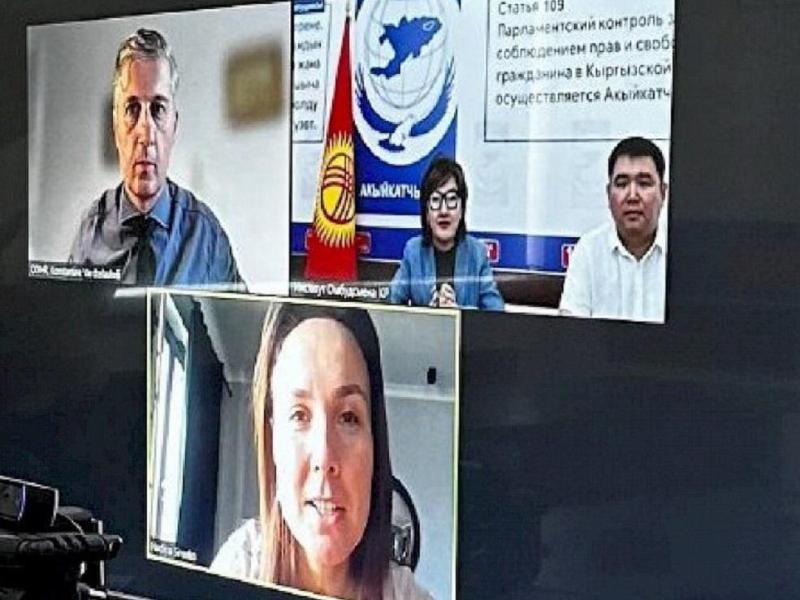 Акыйкатчы Джамиля Джаманбаева ЕККУ АУДИБдин демократиялаштыруу боюнча департаментинин башчысы менен  сүйлөштү