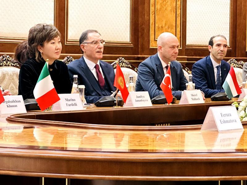 Джамиля Джаманбаева приняла участие в международной конференции в Ташкенте